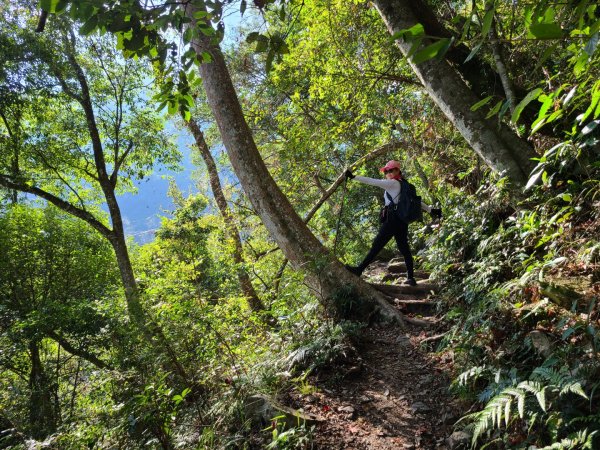 谷關七雄八仙山、加保台山1890610