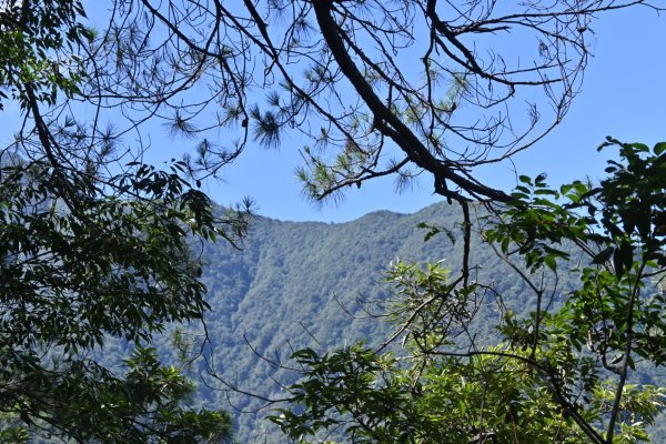 谷關七雄-馬崙山1st2888298