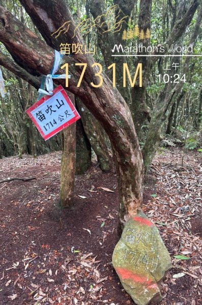 橫沙笛O繞2824598