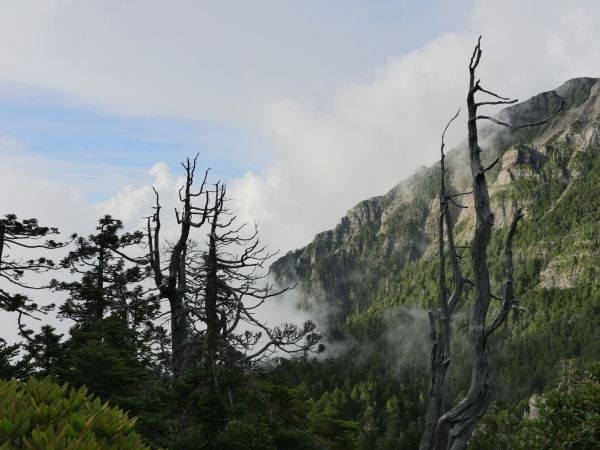 雪主東下翠池山屋155484