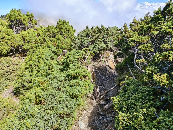 北一段(11/14)南湖北峰 2025_0906~132887364