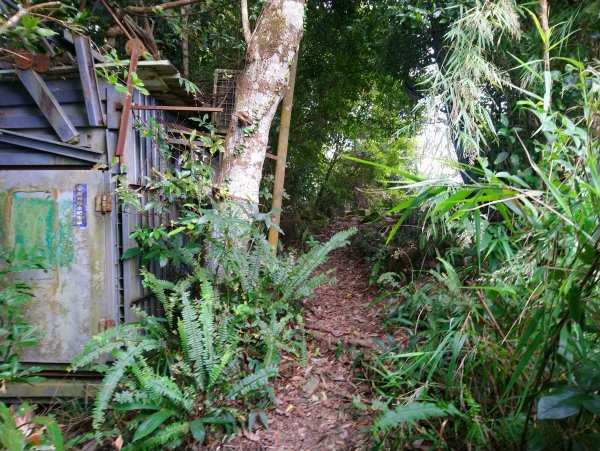 暗影山 小百岳 三等三角點4181690867