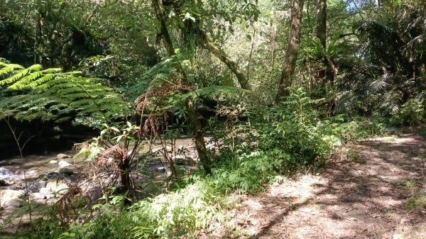 雙溪區灣潭南勢坑古道大河戀3084792