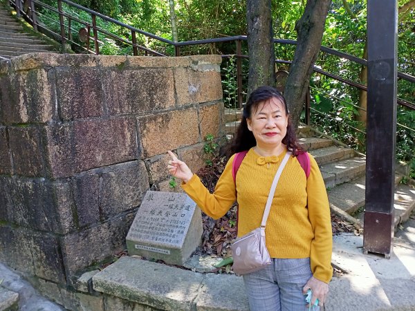 【南山神壽任務尋寶趣】國際化的象山親山步道1596463