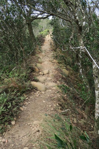 20170121苗栗火炎山100657