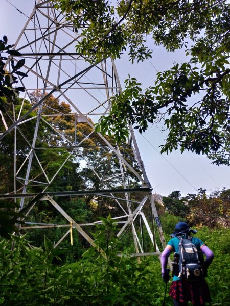 【武令山】廬山六寶1648510