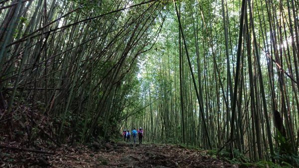 馬拉邦山上湖登山口O型走1069023