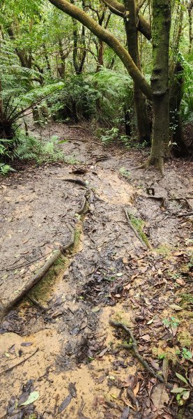 阿哲/小黑3031510