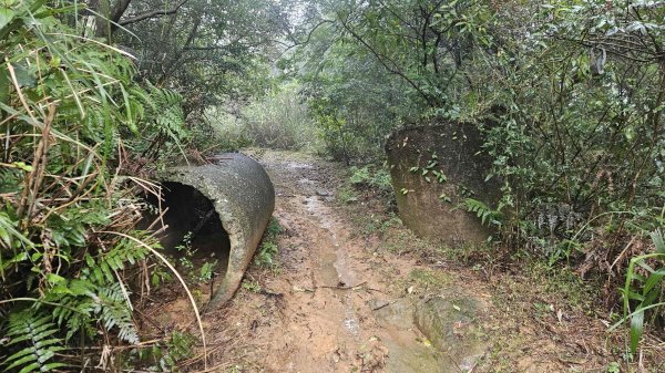 20260211庚子坪溫泉-赤石六山2997596