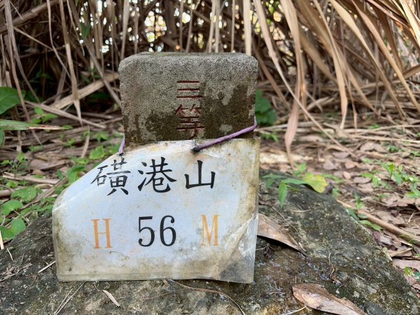 新北 金山 磺港山 獅頭山3000196