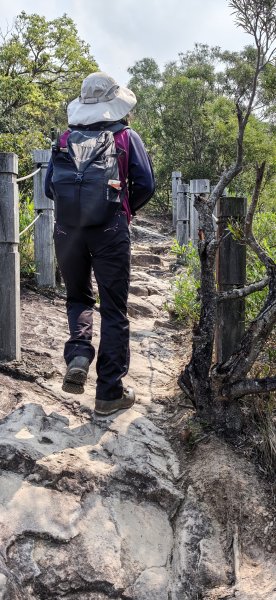 2026-0412 奇岩山_唭哩岸山_丹鳳山_軍艦岩3034879