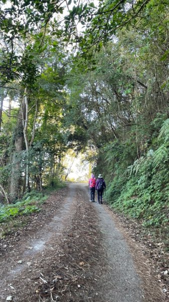 十份棟古道出雲端2688955