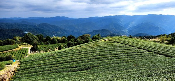 石碇皇帝殿（西峰，東峰），天王峰，坪林獅公髻尾山，文山指南宮千階步道（竹柏參道），十六分山，貓空尖1971335