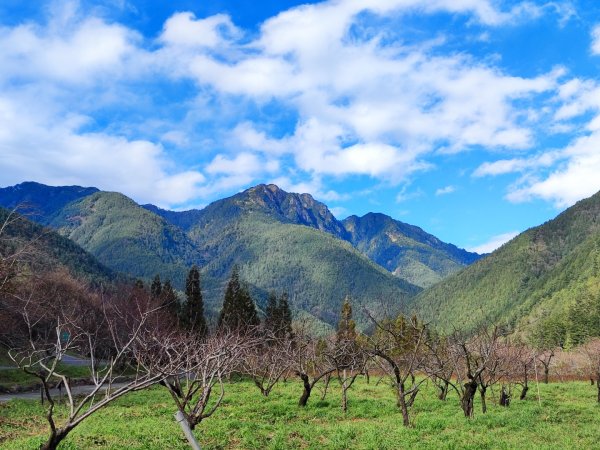 1/1元旦雪主東2681428