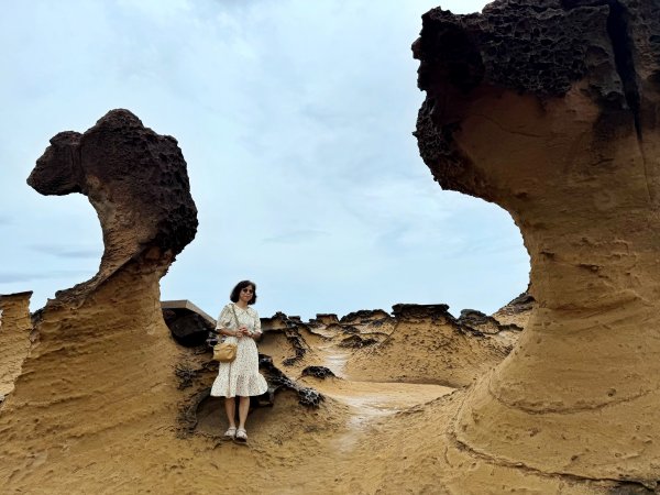 野柳地質公園、野柳岬山步道202507212863851