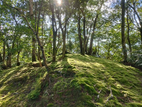 [新北坪林][六]豹子廚古道、南豹子廚山、北豹子廚山、小坑山、小粗坑山、柑腳坑、乾溪山、楣子寮山(楣子寮尖)