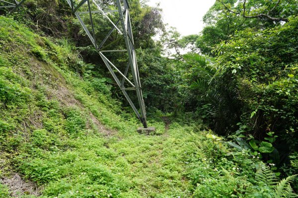 臺北 文山 指南山、猴山岳、魚衡山、大前坑山、猴山坑山、祥光寺後山、金頭山2775001