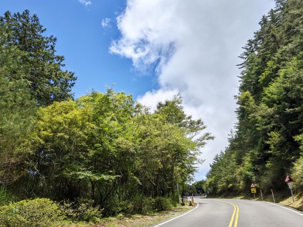[山海圳_聖山之路_第一段] 2026_0802 自忠⮕鹿林山登山口3109098