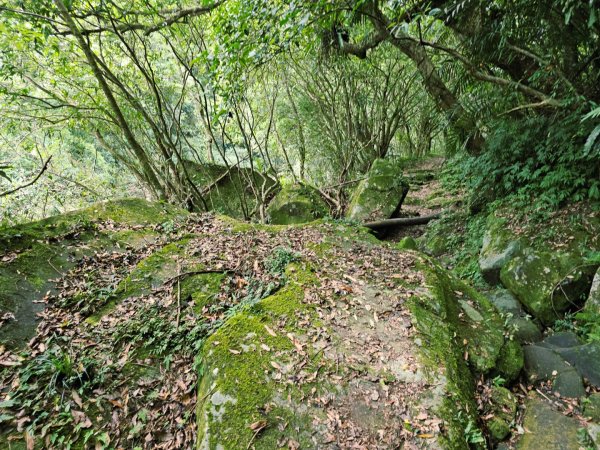 淡蘭中路第四段：威惠廟至灣潭古道登山口(崩山坑線)2882719