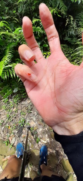 20200509 暖暖 - 威惠廟960905