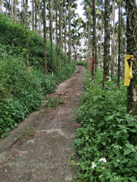 逐鹿古道&雨社山1465944