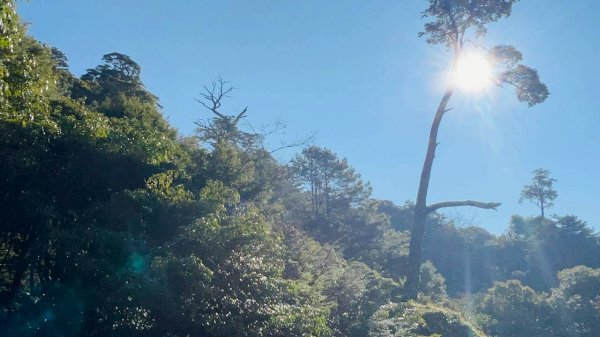 🌈2/26（五）-27（六）黃金大草原~奇萊南華2日✨FB：熊熊趴爬走🌈3008190