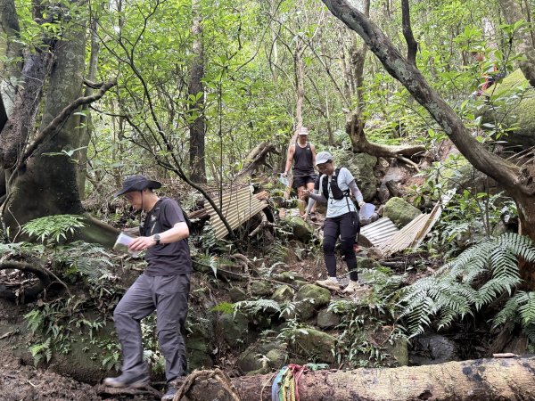 屏東風域祭首辦定向越野，免費接駁輕鬆追風 10/24於牡丹鄉熱血登場，邀您持地圖探索山林地景