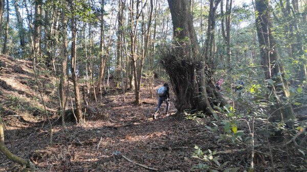 惠蓀大O聖逆走二部曲  2024年12月29日2679237