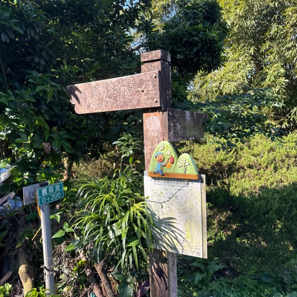 20260110 更寮古道(小百岳-土庫岳)2980758