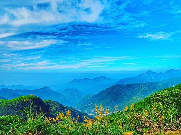 阿里山尋石山，五彩繽紛的石山引水道792486