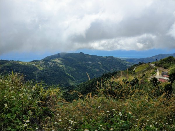 太麻里山(小百岳#94)《金針花季末期》1467639