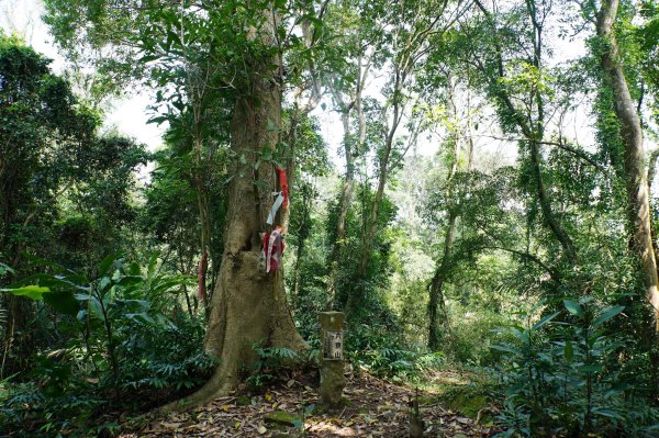 新竹 峨嵋 猿山、六寮山、玖玖山、獅頭山、獅尾山3012144