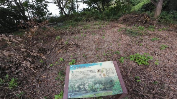 高雄 小崗山2927235