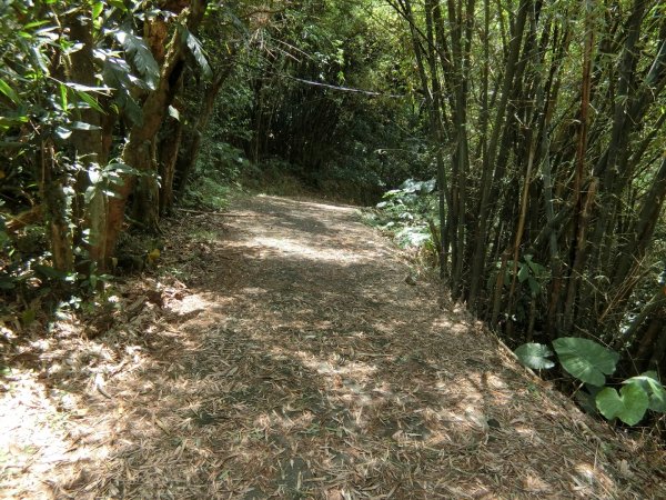 草嶺古道（福隆到大里）960311