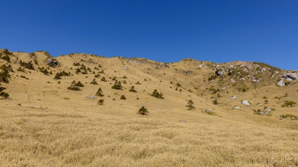 【奇萊的奇幻之旅】奇萊北峰、月形池、奇萊北壁954148