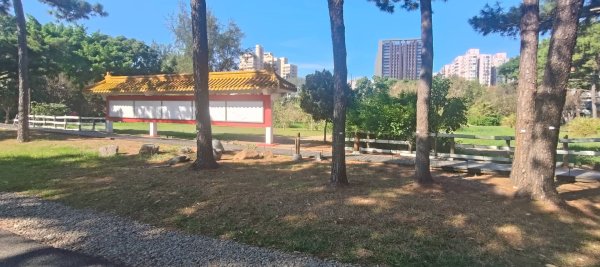 大湳森林公園2910958