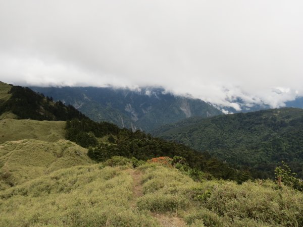 合歡山東峰-尖山-小奇萊-石門山2513118