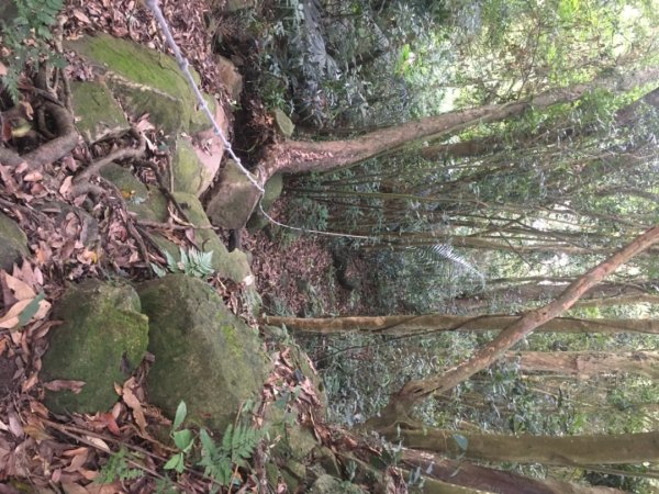 石大佛（石門山、大竹坑、佛陀世界2528056