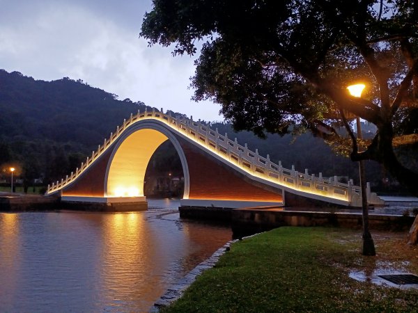 大湖公園《雨中夜行》1904699