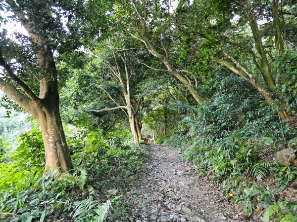 尾寮山-小百岳#73-屏東縣三地門鄉2931097