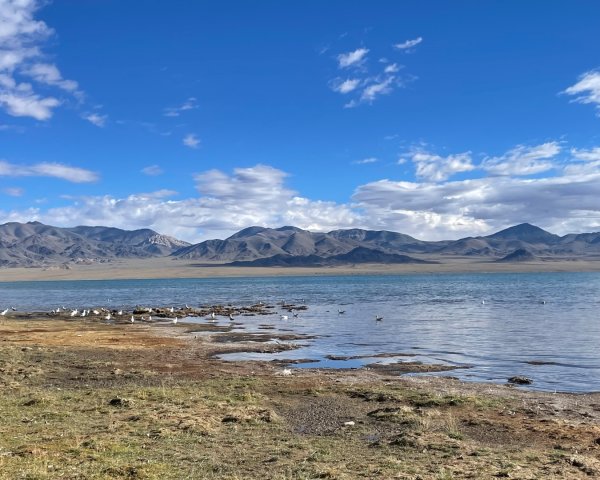 川藏318熱門的卡點-尼瑪-當惹擁措-大地之樹-雅丹地貌聖象天門2905381