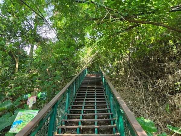 蘭潭後山步道、紅毛埤山（小百岳）2606375