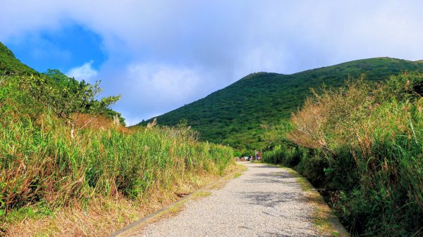 向天蝦不蝦2936841