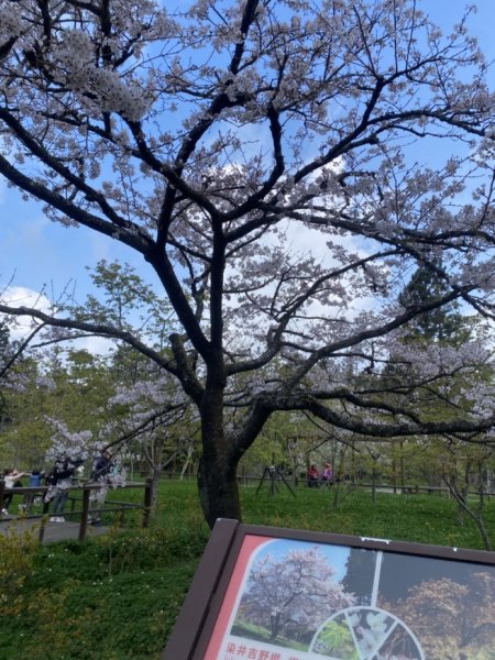 大塔山3062639