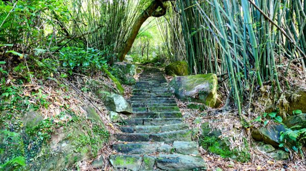 溪和宮,大尖山,擎天崗2822939