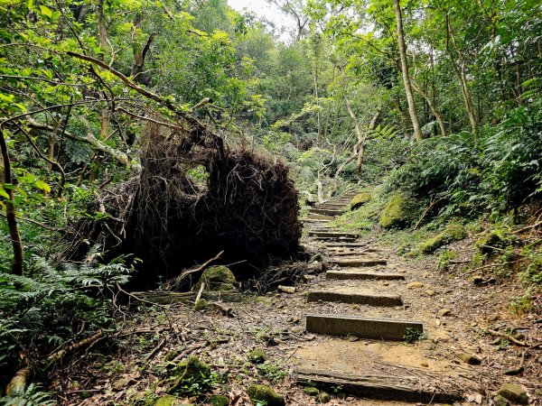 (二格山系)銀河洞越嶺-2025微笑山線大縱走尋寶集章任務2855221