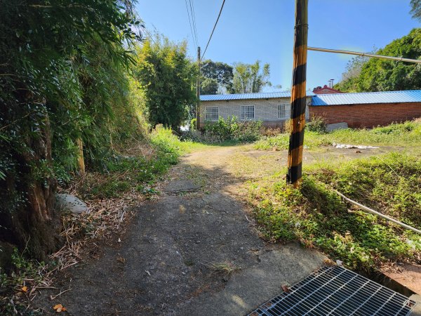 20250114石井山、榴子坑山、後脊山、龍頂山2728588