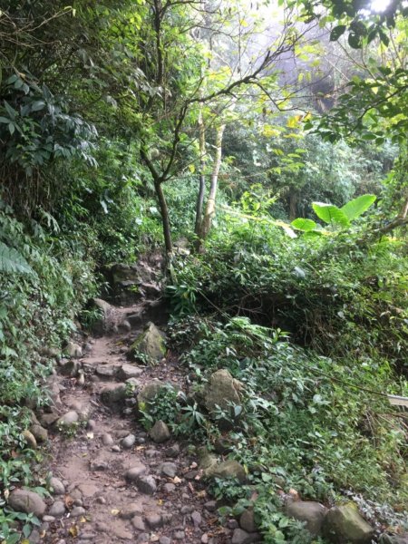 20181026-大凍山初登444952