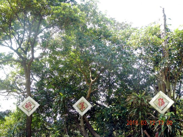 土城天上山五城山將軍嶺綠野香坡社區285797