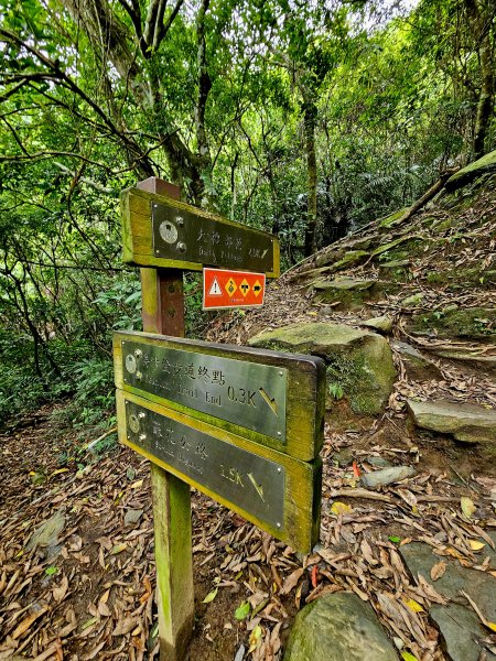 小百岳集起來-立霧山2185584